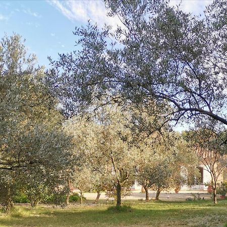 Mas Des Oursons - Chambres D'Hotes Arles Kültér fotó